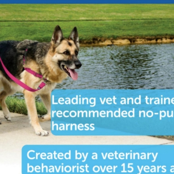 🆕️Easy Walk Nylon No Pull Dog Harness Size: S - Picture 7 of 7